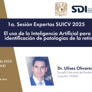 Primera Sesión Expertos SUICV 2025